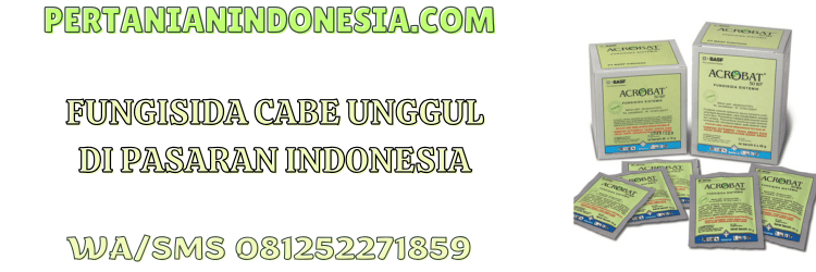 fungisida,cabe,fungisida cabai,pestisida,pertanian indonesia